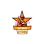UP Brij Stars logo