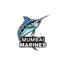 Mumbai Marines logo