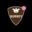 Surrey Women logo
