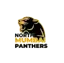 North Mumbai Panthers logo