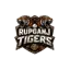 Rupganj Tigers CC logo