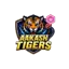 Aakash Tigers MWS Women logo
