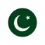 Pakistan logo