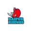 Raipur Rhinos logo