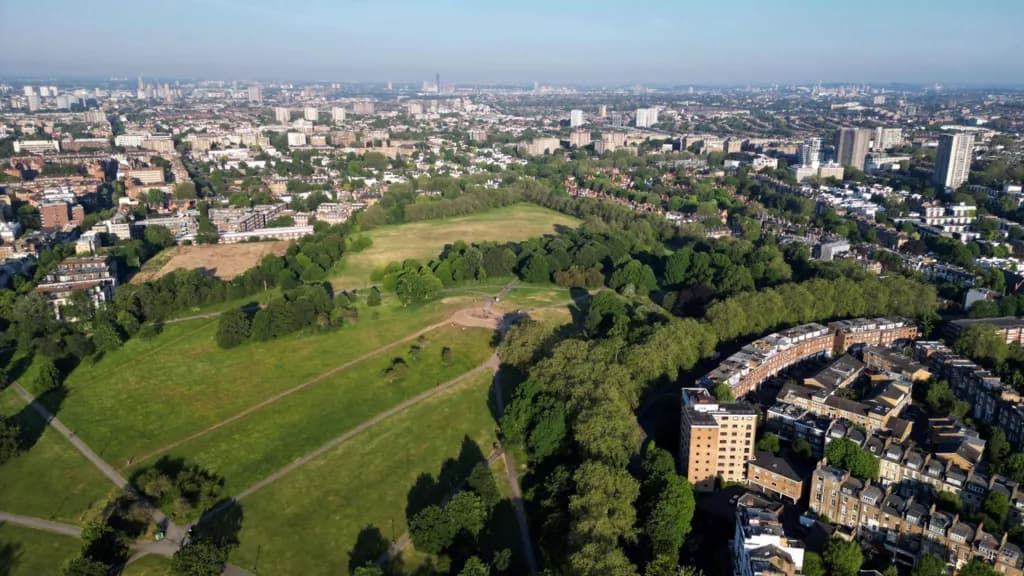 Man, 21, Fatally Stabbed at Primrose Hill